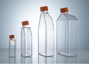 Cell Culture <strong>Flasks</strong> TC Treated Sterile 25cm2 75cm2 175cm2 225cm2 With Vent Cap Or Plug Seal Cap For Tissue Culture - Product Image 6