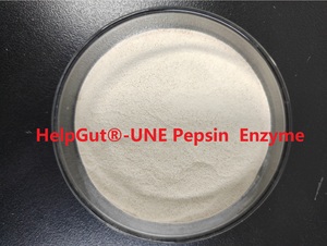 Pepsine Protéine parfaite résolvante sous pH bas Utilisée pour la <span class=keywords><strong>dyspepsie</strong></span>, le système digestif 3000-20000NF.U./mg 0.5-4.5Ph.Eur.U./mg - Product Image 2
