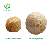 Grande fibre TVP morceaux Protéine végétale texturée de haute qualité avec gluten Protéine de soja texturée HALAL faible en gras Nourriture végétarienne
