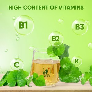 Thé Herbal Pur de Centella Asiatica de Haute Qualité 100% Naturel, Sachets de 2g, Thé Séché Premium pour la Santé, 40 Sachets par Boîte, MOQ 20 Boîtes - Product Image 4