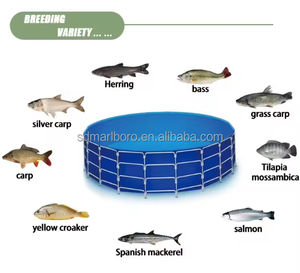 Tanque Redondo de PVC para Acuicultura de Lubina Azul de Alta Densidad con Tamaño Personalizable (2m-30m) y Generador de Oxígeno - Product Image 1