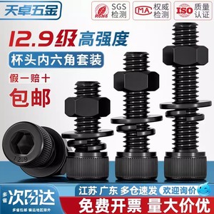 Full Thread Grade 12.9 High Strength Cup Head Hex Socket Screw Nut Combination Bolt M2 M20 Black Alloy Steel Fastener Connection - Product Image 4