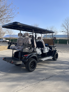 WELIFTRICH voiturette de golf électrique 6 places 72V 100ah batterie au lithium 5kw moteur en acier certifié CE stockage de club visites touristiques 30-50 Km/h - Product Image 6