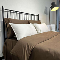 Parure de draps en fibre de bambou 100% Queen 3 pièces 300TC Tissage satiné Uni Solide Poches profondes Durable Anti-bactérien Lavable en machine