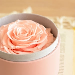 Rose équatorienne en boîte ronde, vente chaude 2026, cadeau pour la fête des mères, mariage, anniversaire, rose éternelle personnalisée, vente en gros, directement de l'usine - Product Image 6