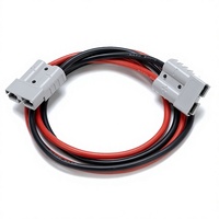 Adaptateur Xt60 haute stabilité, connecteur solaire, longueur personnalisée, prise banane 2P, câble de charge solaire, indice de protection IP67, 30A pour batterie Li-ion