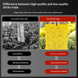 Effective Disposable Double Sided Yellow Sticky Trap 20x25cm for Fruit <b>Fly</b> Pest Control in Greenhouse and Fruit Tree - Product Image 6