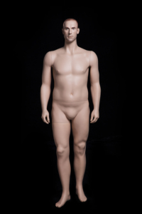 PLUSMAN2 Maniquí Masculino de Cuerpo Completo, Maniquí de Hombre con Piel - Product Image 2