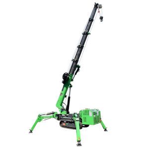Canada Úc tiêu chuẩn thô terrian <span class=keywords><strong>Crawler</strong></span> loại 3 tấn Spider <span class=keywords><strong>Crane</strong></span> với điều khiển từ xa - Product Image 4