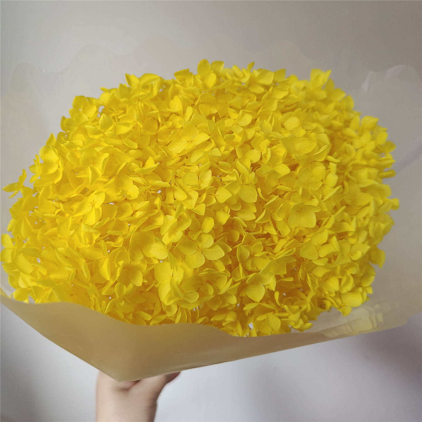 Yellow, 18-21 cm