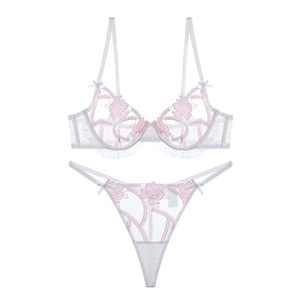 Conjunto de lencería sexy de talla grande con bordado de encaje de 2 piezas (sujetador y bragas) para mujer, conjunto de lencería transparente de malla al por mayor - Product Image 1