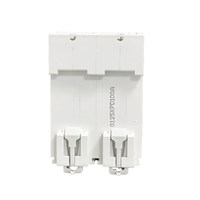Interruptor MCB de Alto Contenido de Cobre Linziele, Interruptor de Circuito de CC de 600 V y 10 ka, DZ47-125DC, 125 A, 2 Polos, Protección IP20 con Certificación CE