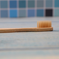 Ensemble de brosses à dents en bambou à poils ultra doux pour adultes, brossage quotidien des gencives