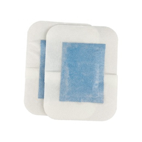 Nouveau design de patchs détoxifiants pour les pieds à base de plantes, certifiés ISO/CE, logo personnalisé accepté, marque DMJK, durée de conservation de 2 ans