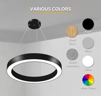 Lustre suspendu en acier à cercle central, 20W 40W 60W, luminaire LED linéaire rond