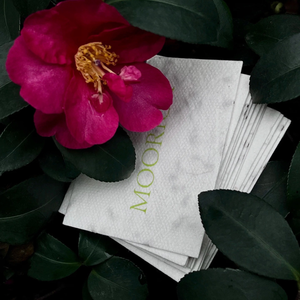 カスタムロゴパーソナライズされたシードペーパー名刺両面埋め込みワイルドフラワーシードグリーンマーケティング持続可能な寝具 - Product Image 4