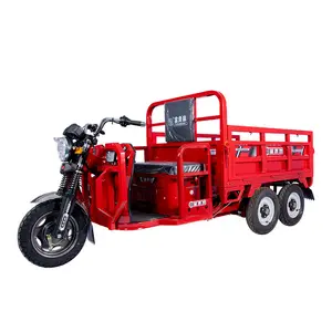 Triciclo <span class=keywords><strong>El</strong></span>éctrico de Carga FGQ OEM de Doble Eje Trasero, Uso Rudo, 5 Ruedas, 1000 kg - Product Image 1