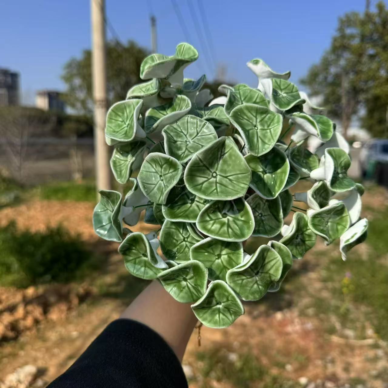 una hoja de loto