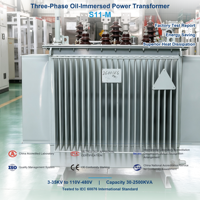 Transformateur de distribution immergé dans l'huile 60Hz S11-M Triphasé 480V Cuivre IEC60076 Économe en énergie