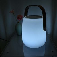 Lampe d'ambiance portable avec haut-parleur et chargeur sans fil, contrôlable par application mobile, Lampe-haut-parleur sans fil Twilight