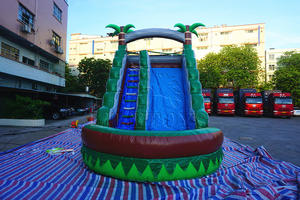 Tobogán Acuático Inflable Comercial para Adultos y Niños <span class=keywords><strong>2021</strong></span>, Tobogán Infantil con Palmera, Económico, con Piscina - Product Image 3