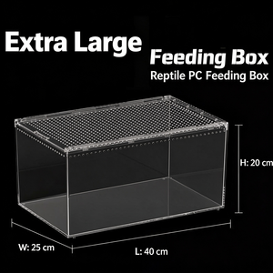 Terrario Rectangular de Acrílico Transparente para Reptiles, Vivario para Lagartos, Geckos y Serpientes - Product Image 3