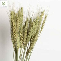 Yunnan buket bunga kering, DIY bahan tanaman kering rumput tanaman alami dekoratif