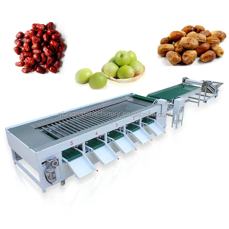 Équipement de nettoyage de dates Jujube Machine de production de ligne de lavage de dates du Moyen-Orient avec fournisseur de séchage de tri