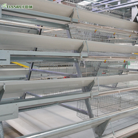Cage de volaille pour animaux de ferme, comprend une Cage 2 m, un équipement horticole pour élevage des poules, une couche automatique, pour les vente, convient aux poules
