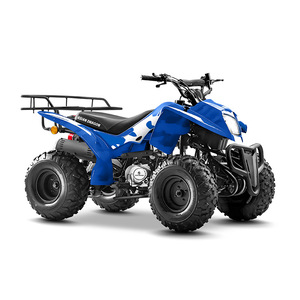 Mini Buggy de Plage pour l'Exportation, Quad à Quatre Roues XHX-1, Capacité de Charge 100 kg, Freins à Disque Hydrauliques en Aluminium, Conception à 4 Roues XHX-1 - Product Image 5