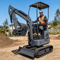 Mini-excavatrice sur chenilles CH-12 de 1 tonne, moteur diesel de 7,5 kW pour vergers, serres et travaux de terrassement