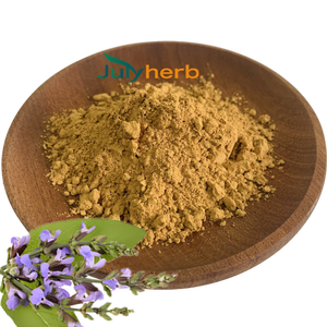 Julyherb kualitas tinggi makanan kelas <span class=keywords><strong>Coleus</strong></span> 20% Forskohlii ekstrak untuk bubuk skolin - Product Image 3