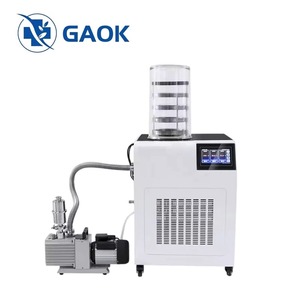Lyophilisateur Électrique à Chaleur <span class=keywords><strong>par</strong></span> Convection, Matériau SUS304, 1300W AC220V, Piège à Froid -60°C/-80°C, 2PA, pour la Transformation Alimentaire de Pointe - Product Image 2