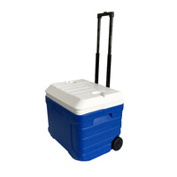 KUISHEN TR-ZM904 40L Glacière isotherme portable en plastique avec poignée télescopique pour pique-nique, usage domestique et transport de médicaments, livraison rapide