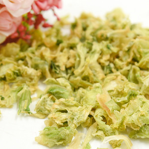 Légumes séchés pour petits animaux, 500g, collations écologiques pour animaux de compagnie, pour lapin, cochon d'inde, hamster - Product Image 2