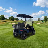 Carrito de Golf Eléctrico de 2 Pasajeros con Batería de Litio de Color Personalizado, Nuevo Diseño de Buggy Turístico para Campo de Golf