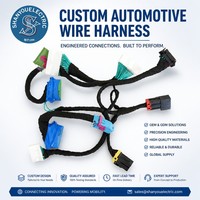 Tyco perakitan kawat listrik, baterai mobil kabel pengisian
