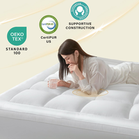 26 surmatelas personnalisables confortables et très vendus pour un meilleur sommeil et le soulagement des douleurs dorsales