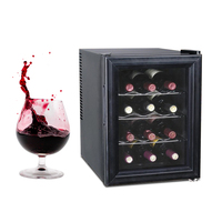 Mini-réfrigérateur à bière en acier inoxydable pour 12 bouteilles, cave à bière compacte, meuble de bar