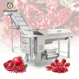 Автоматическая линия для производства гранатового сока: машина для очистки от кожуры, удаления косточек и извлечения семян - Product Image 1