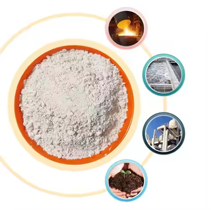 Harga Grosir 90% Kandungan Quicklime Kalsium Hidroksida Bubuk Kapur Terhidrat untuk Peningkatan Tanah dan Pengolahan Limbah - Product Image 2