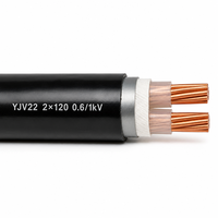 Câble d'alimentation blindé en cuivre XLPE YJV22 2*95mm² 2*120mm² 0,6/1kV avec gaine en PVC blindée à bande d'acier pour connexion de transformateur