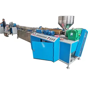 Wattenstaafjes Pp Lollystok Making Machine Automatische Plastic Stok Extruder Machine Voor Wattenstaafjes Pp Pe Katoen Kiem Stok pro