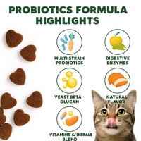 Probiotiques OEM pour chiens et chats, hypoallergéniques, biologiques, huile de poisson naturelle, vitamine D3, absorption rapide, soutien immunitaire, santé de la peau et du pelage, comprimés à mâcher