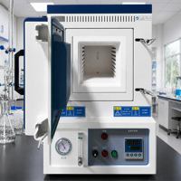 Four à résistance électrique 1200°C avec contrôleur programmable et système de gaz inertes