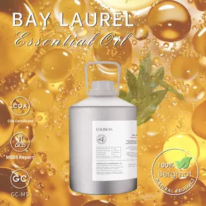 Huile essentielle de <span class=keywords><strong>laurier</strong></span> <span class=keywords><strong>des</strong></span> <span class=keywords><strong>montagnes</strong></span> noires distillée biologique Huile essentielle pure de haute qualité pour les soins de la peau en aromathérapie - Product Image 4