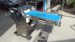 Macchina Regolabile per Scuoiare <span class=keywords><strong>Pesce</strong></span> 80-160 Pezzi/min, Attrezzatura Industriale Completamente Automatica per Fabbriche di Prodotti Ittici - Product Image 5
