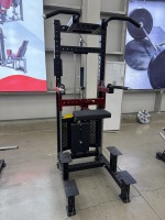 Barres parallèles multifonctionnelles pour entraînement, aide au poussée d'épaules avec haltères, barres parallèles pour tractions, insert pour soulevé de jambe