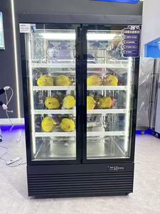 Congelador Vertical Comercial para Supermercado, -25 Grados, Estilo de Doble Temperatura, 2 Puertas, Exhibición Vertical de Bebidas, Automático - Product Image 2