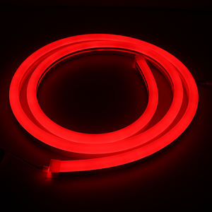 DC12V/24V PVC Neon Flex Tube <strong>Flexible</strong> <strong>LED</strong> Strip IP66 <strong>Waterproof</strong> Landscape Decoration Bendable <strong>Lights</strong> - Product Image 6